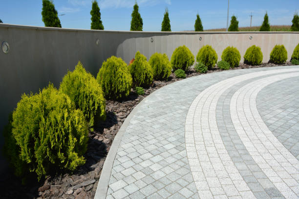 Best Interlocking Driveway Pavers  in Alva, FL